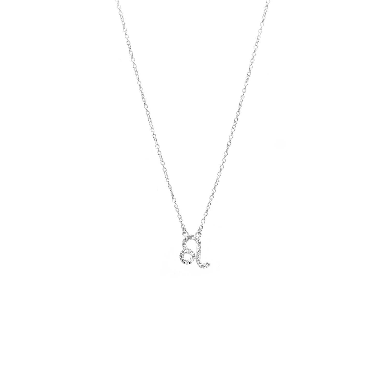 Silk & Steel Leo Necklace